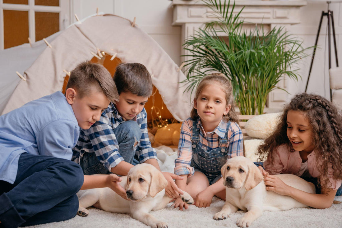 Best Dog Breeds for Families with Children: A Complete Guide for Choosing the Perfect Family Dog