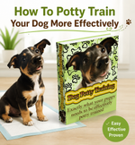 How To Potty Train Your Dog More Effectively