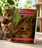 Raising Exotic Bengal Kittens – Some Amazing Ways to Keep Them